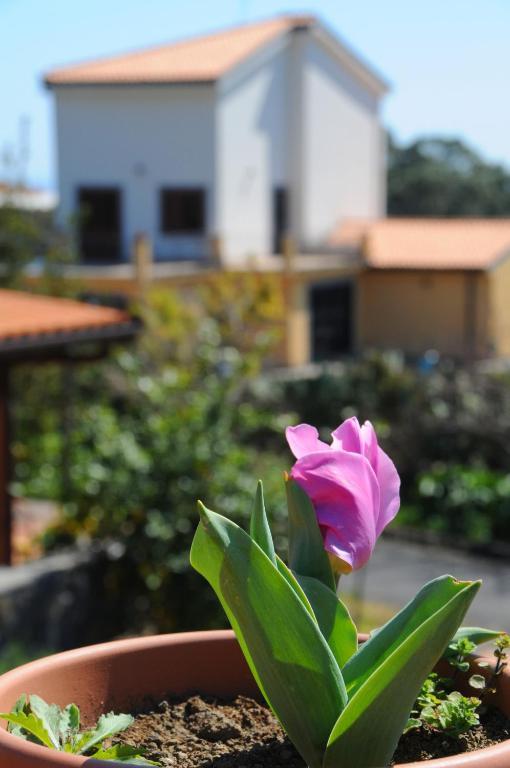 קטאניה La Circumetnea Home מראה חיצוני תמונה