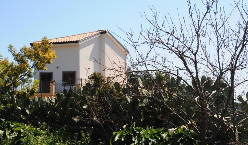 קטאניה La Circumetnea Home מראה חיצוני תמונה