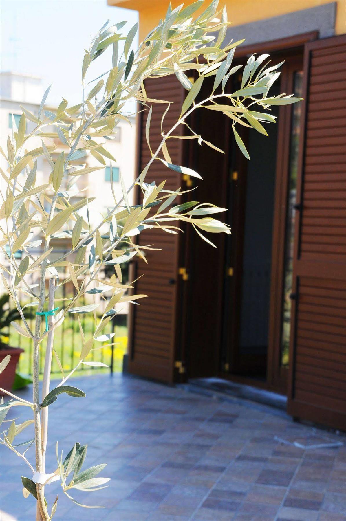 קטאניה La Circumetnea Home מראה חיצוני תמונה